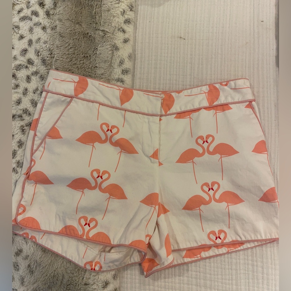Shorts - Picture 4 of 4